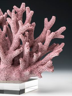 Coral-decorativo-de-resina-LICERIO-ROSE-Landmark-1