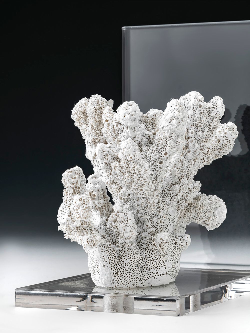 Sujetalibro-con-coral-decorativo-ANICETO-Landmark-1