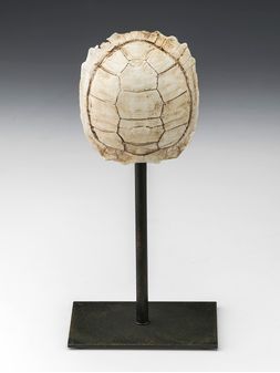 Adorno-de-tortuga-con-base-TURTLE-BLANCA-Landmark-0