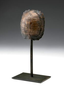 Adorno-de-tortuga-con-base-TURTLE-NEGRA-Landmark-0