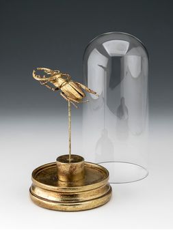 Adorno-cloche-naturaleza-SCARAB-GOLD-MEDIUM-Landmark-1