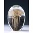 Pisapapeles-de-vidrio-JELLY-FISH-LIGHT-GREY-M-Landmark-00