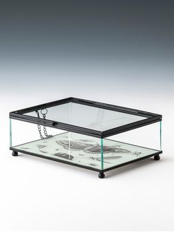 Caja-de-vidrio-tipo-alhajero-BITELY-Landmark-00