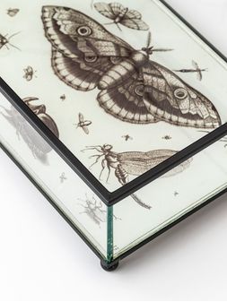 Caja-de-vidrio-tipo-alhajero-BITELY-Landmark-01