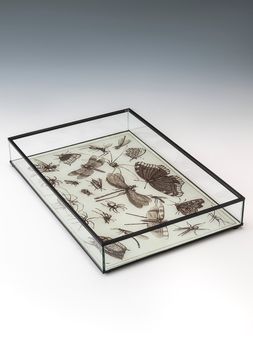 Bandeja-de-vidrio-BITELY-Landmark-00