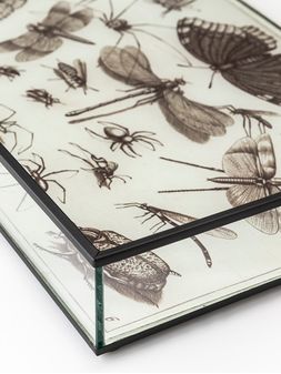 Bandeja-de-vidrio-BITELY-Landmark-01