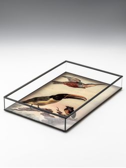 Bandeja-de-vidrio-con-dibujo-TOUCAN-Landmark-00