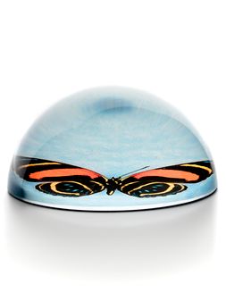 Pisapapeles-de-vidrio-BUTTERFLY-Landmark-01