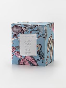 vela---VELA-ALLS-DO-SON---SENSEI---01