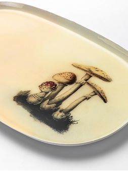 BANDEJA-MASHROOM-VALLE-1